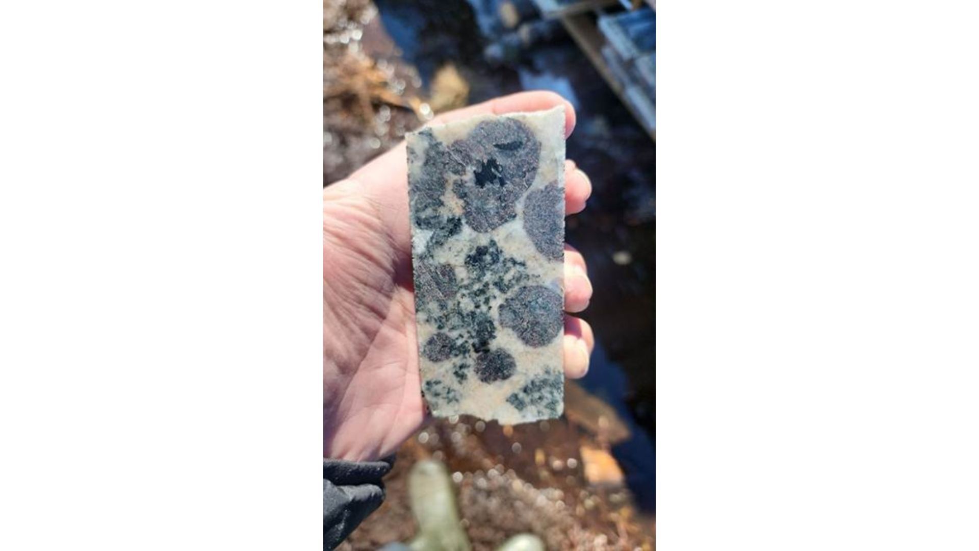 El descubrimiento de minerales de Juno se amplía para incluir metales magnéticos de tierras raras pesadas
